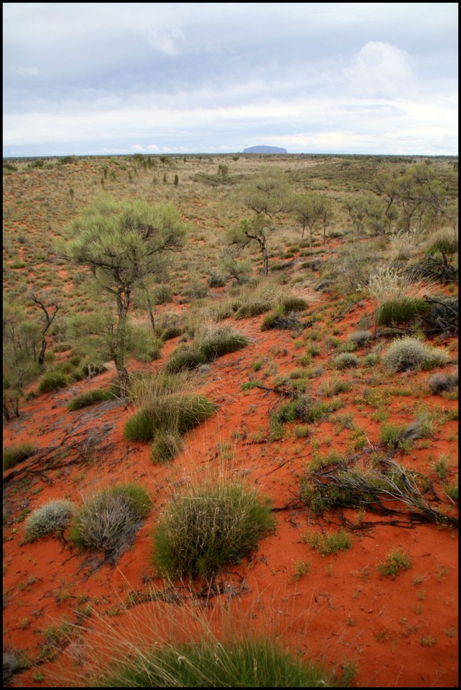 ULURU - from another point of view -