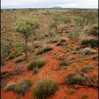 ULURU - from another point of view -