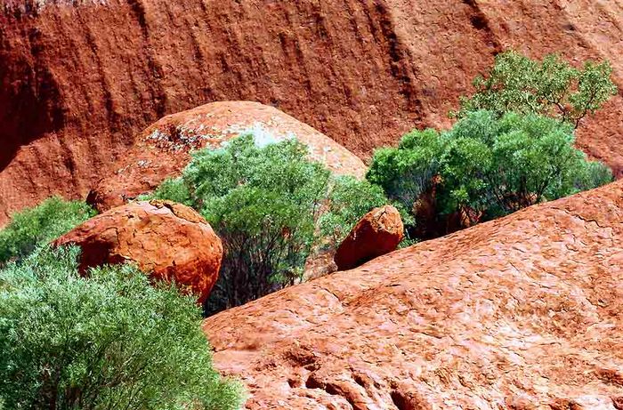 Uluru ganz nah