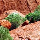 Uluru ganz nah