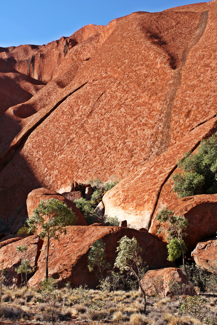 Uluru ganz nah