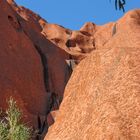 Uluru (I) Australien 2010