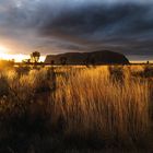 Uluru im Abendlicht