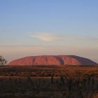 Uluru im Morgengrauen