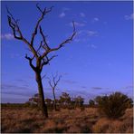 Uluru Impressions #1