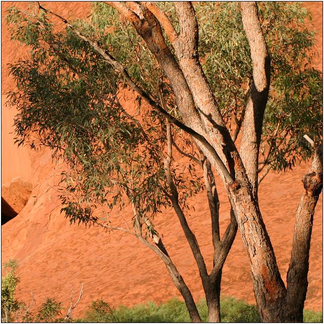 Uluru Impressions #3