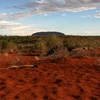 Uluru in der Ferne