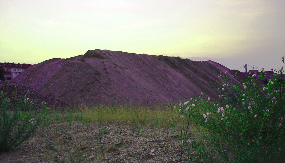 Uluru in Düsseldorf