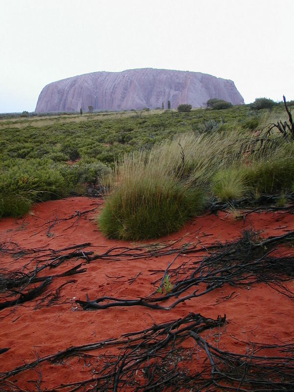 Uluru in Regen Part I