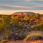 Uluru in the morning Light