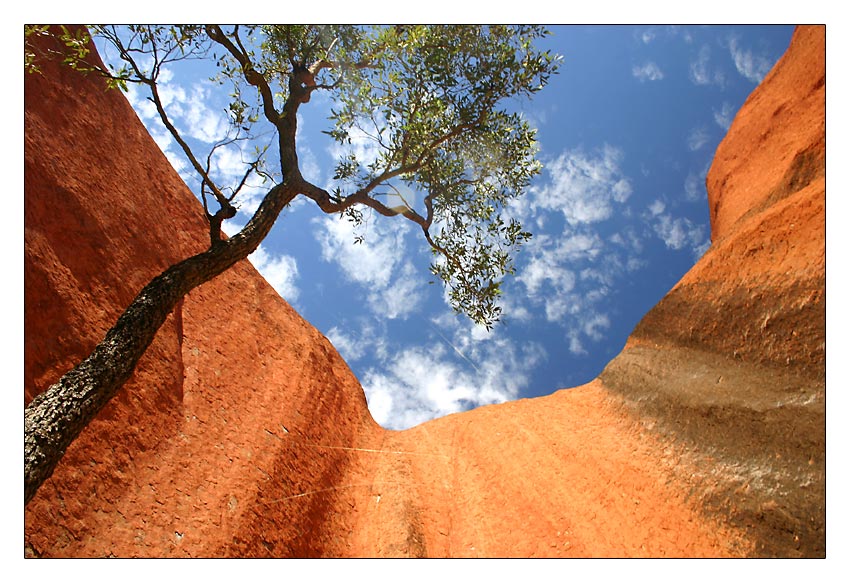 Uluru mal aus anderer Perspektive...