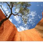 Uluru mal aus anderer Perspektive...