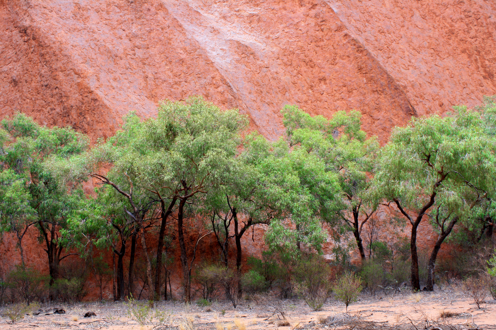 Uluru - Mala Walk