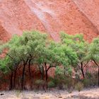 Uluru - Mala Walk