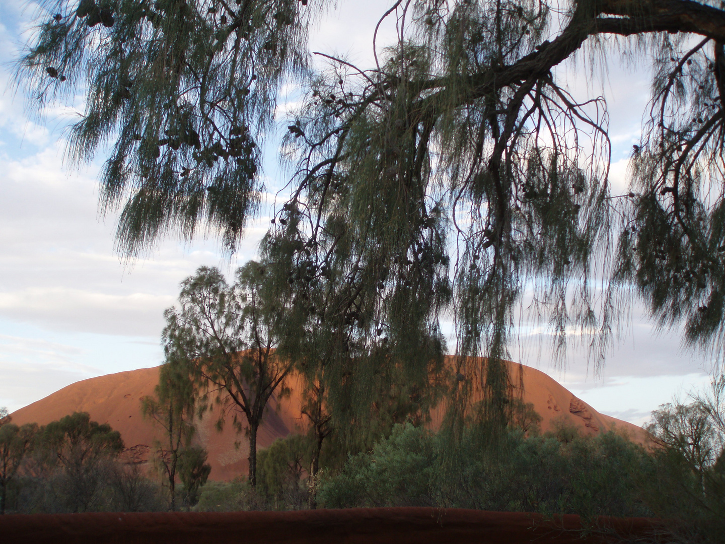 Uluru mit grünen Durchblick