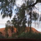 Uluru mit grünen Durchblick