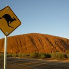 Uluru sunrise