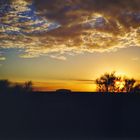 Uluru sunrise