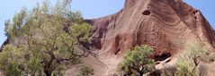 Uluru und grün