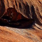 Uluru - walk about-4