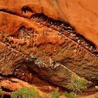 Uluru - walk about-6b