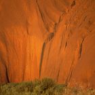 Uluru Walls...