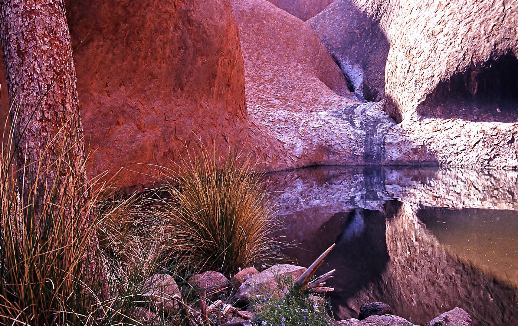 Uluru Wasserstelle.