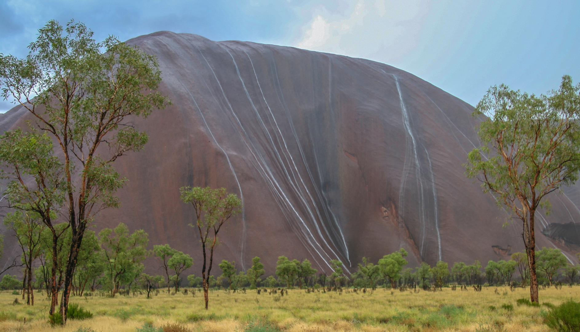 Uluru weint