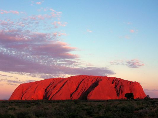 Uluru....in der Abendsonne