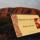 Ulurus Vegetation