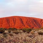 Uluru...Sunrise