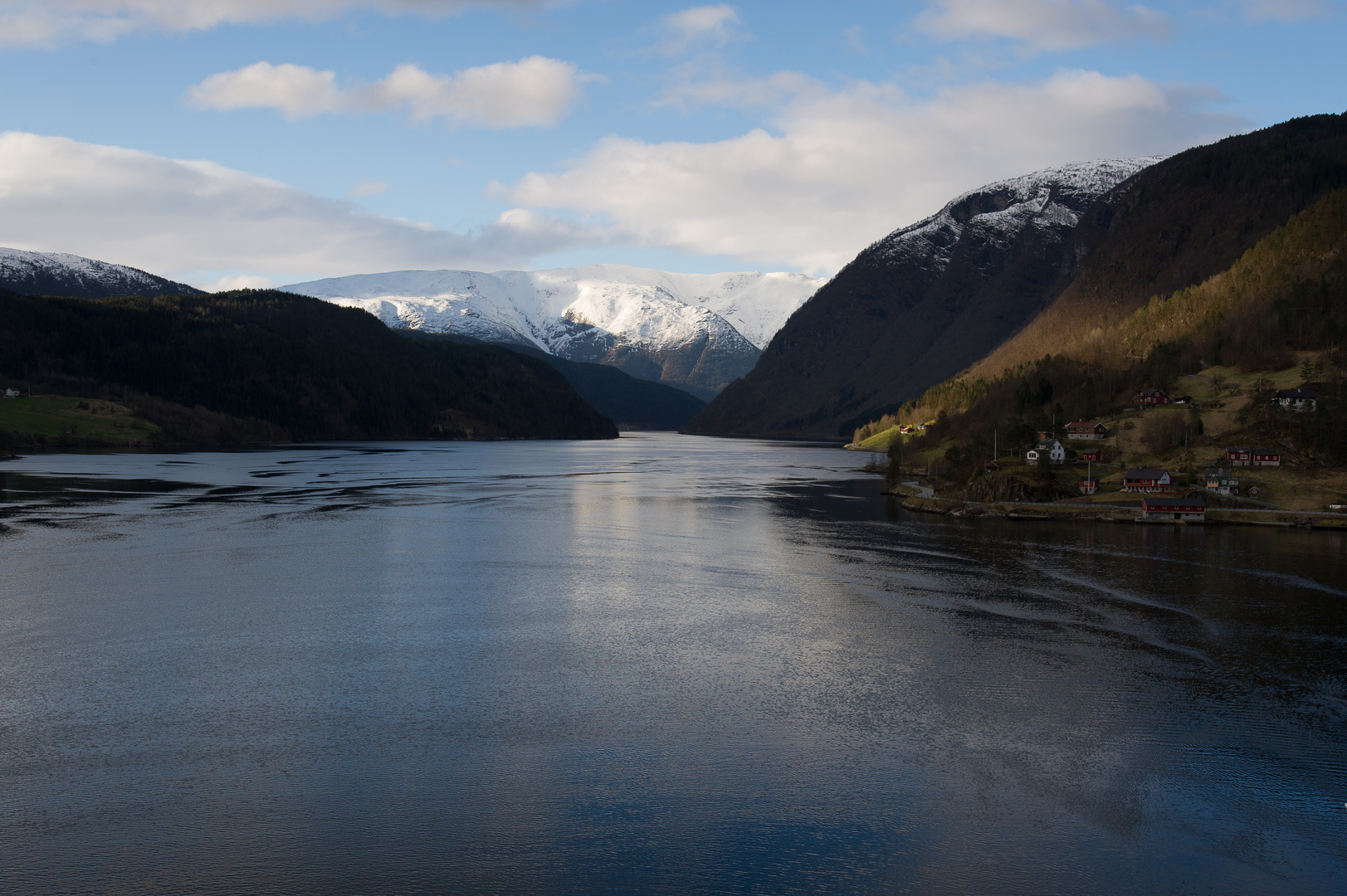 Ulvikausblick