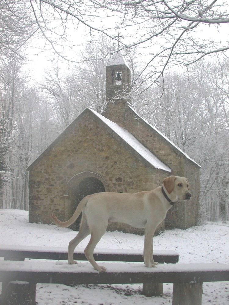 Ulysse, un jour d'hiver