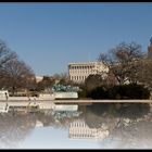 Ulysses S. Grant Memorial and The Capitol