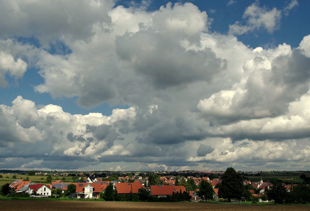 um 12.30 Uhr