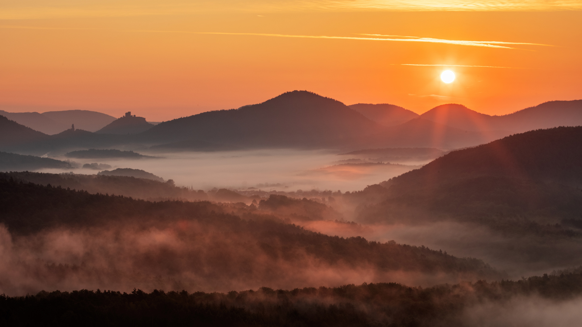 Um 5:47 Uhr im Pfälzerwald