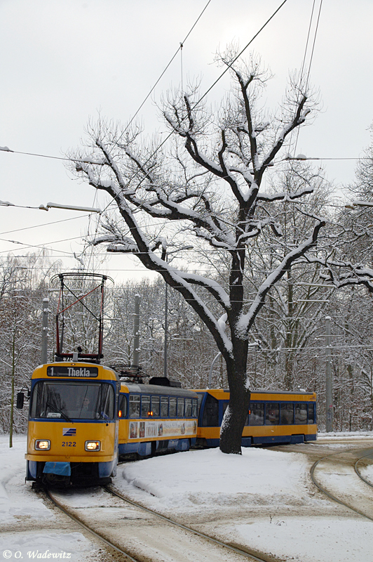 Um den Baum herum..