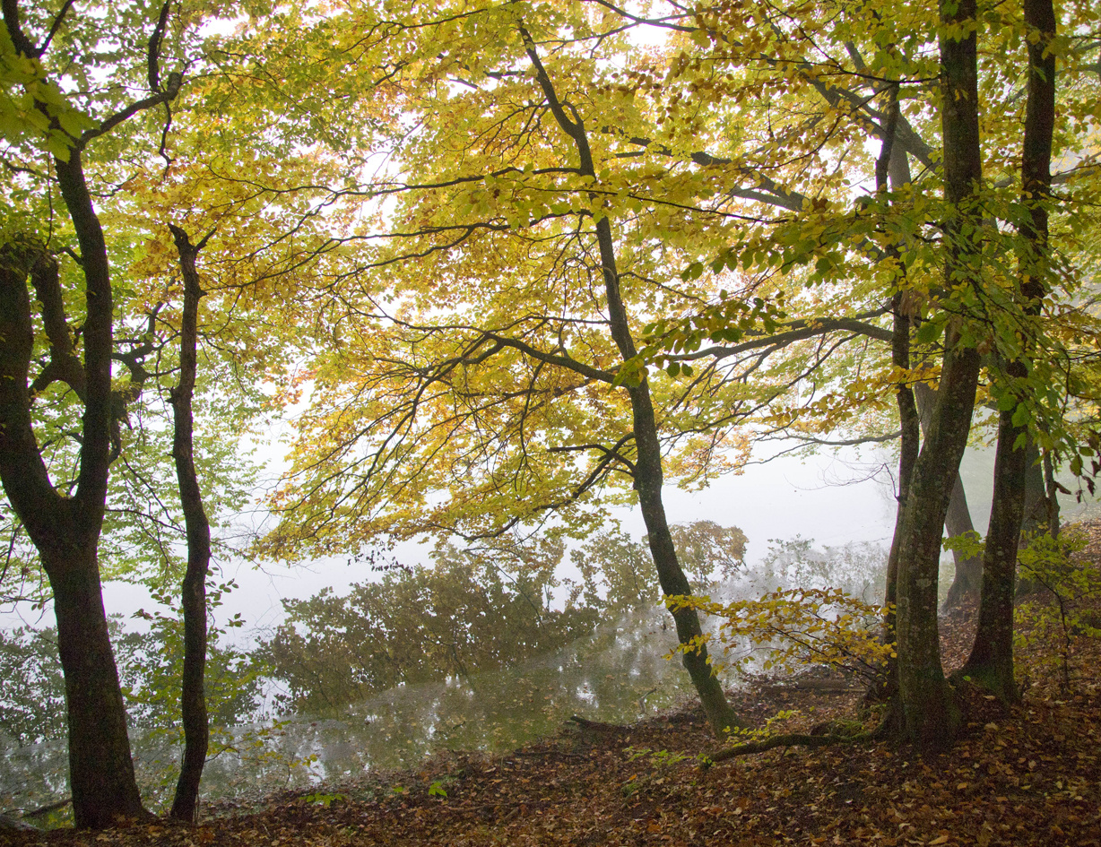 UM DEN KATZENSEE 2