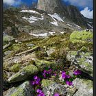 Um die Bergseehütte