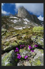 Um die Bergseehütte