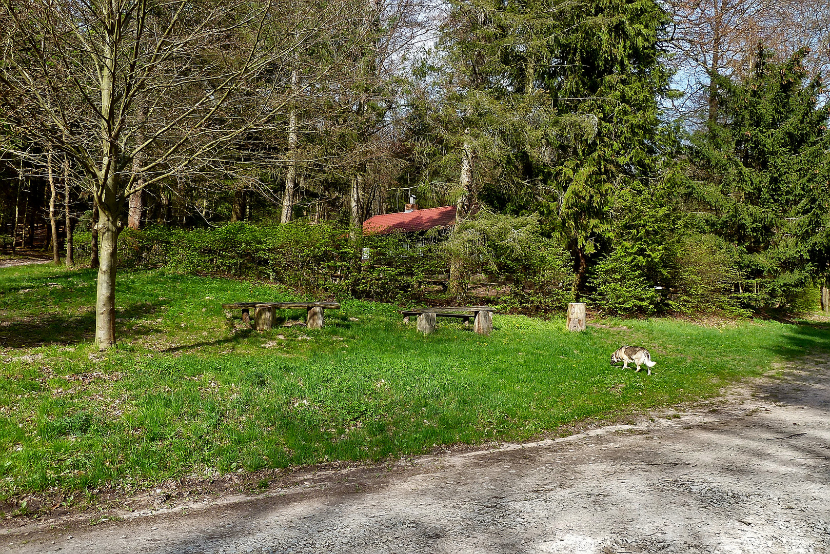 Um die Hütte wirds grün