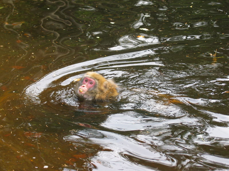 Um die Jahreszeit baden?