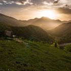 Um fünf auf der Alm