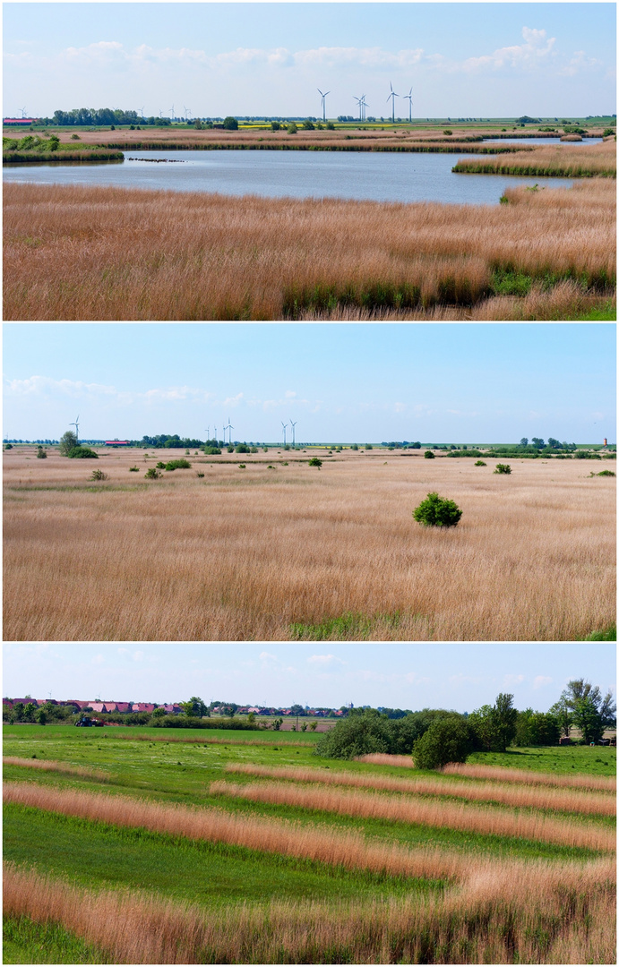 Um Greetsiel und um Greetsiel herum