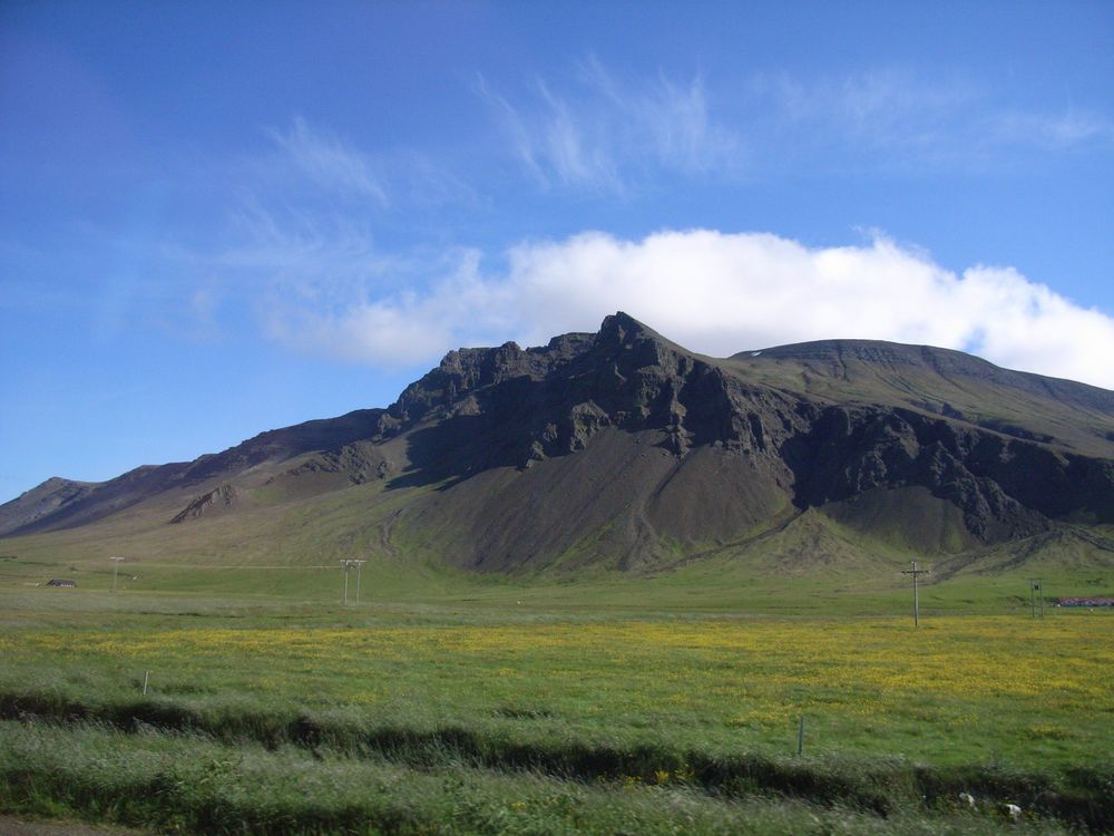 Um Reykjavik