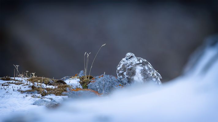 Um Wunder zu erleben