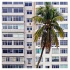 „ uma cidade tropical “