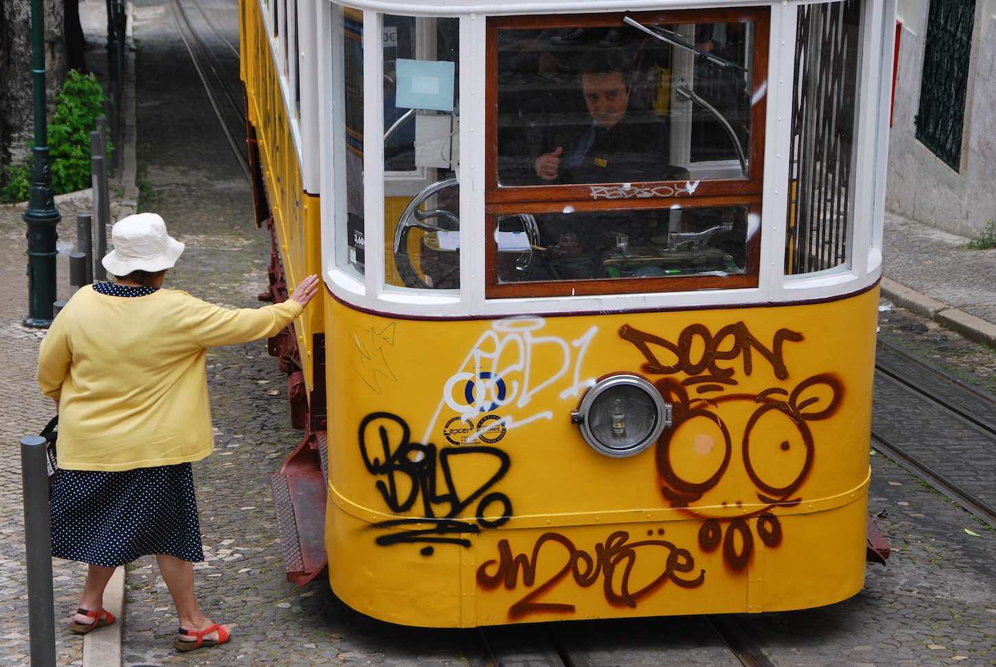 uma manha de cor amarelo