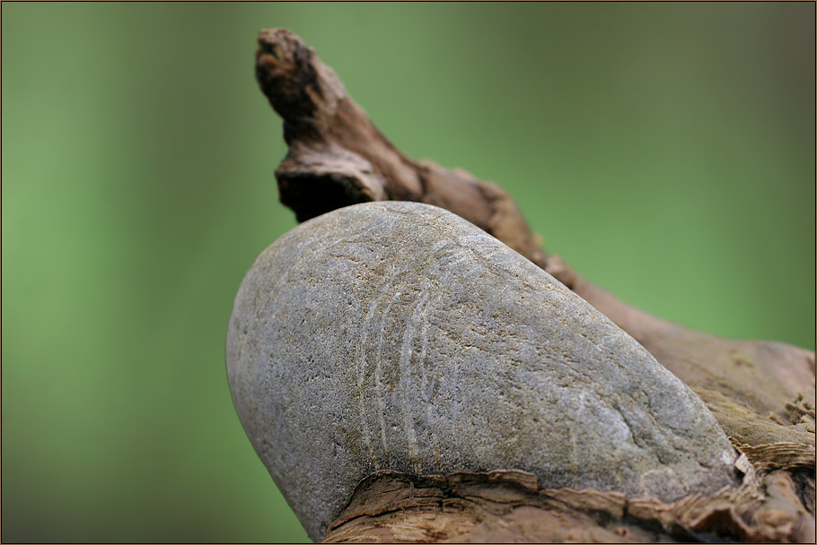 Umarmung der Natur