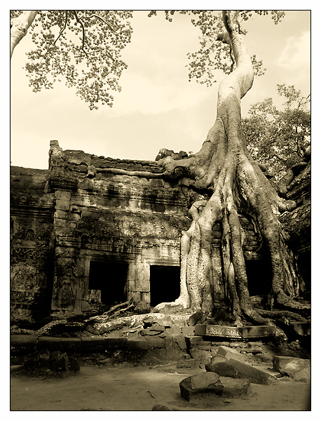 Umarmung im Ta Prohm - Siem Reap, Kambodscha